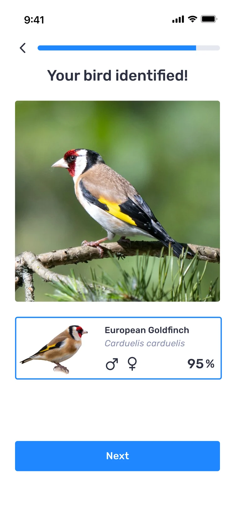 Your bird identified: European Goldfinch, 95%