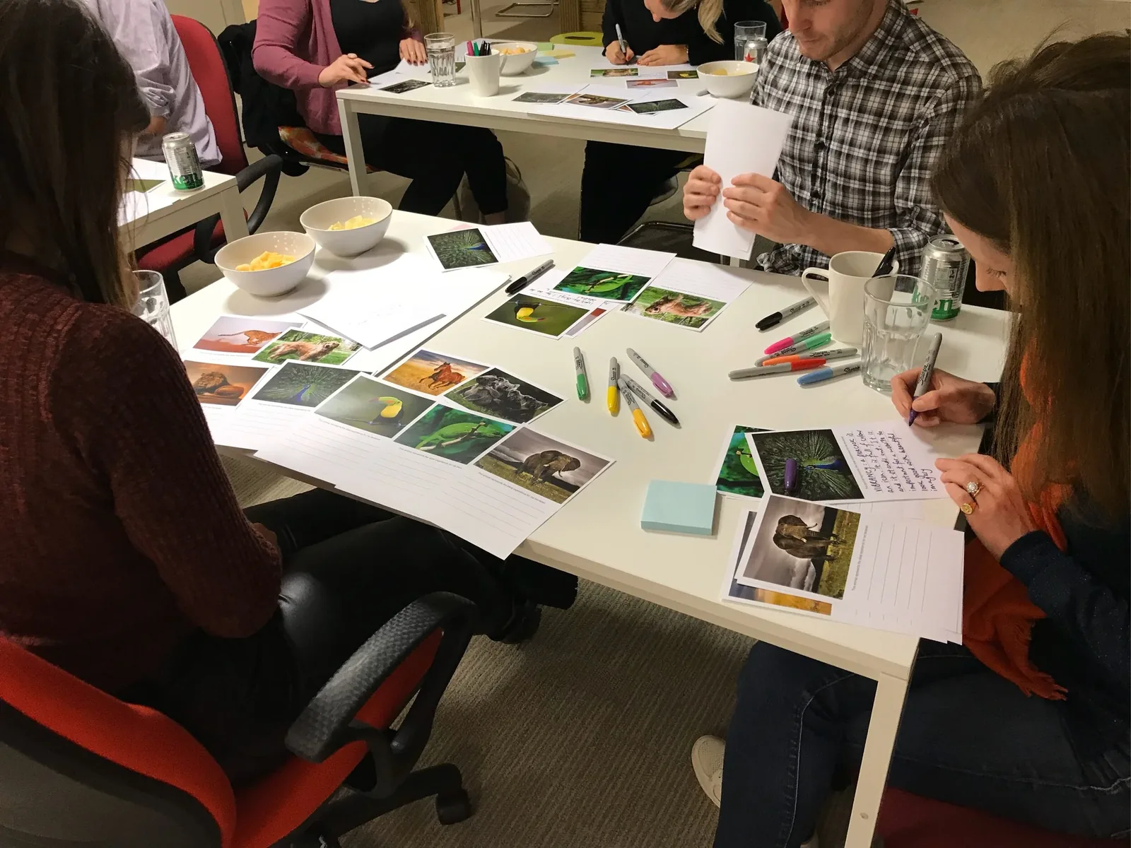 Participants choosing an animal for their ideal bank